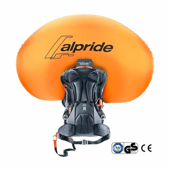 Chestnut-Black Deuter Alproof 32