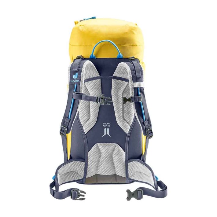 Corn-Ink/Fern-Ink Deuter Climber